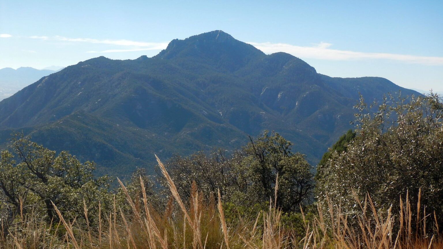 Saguaro Wilderness, Rincon Peak, November