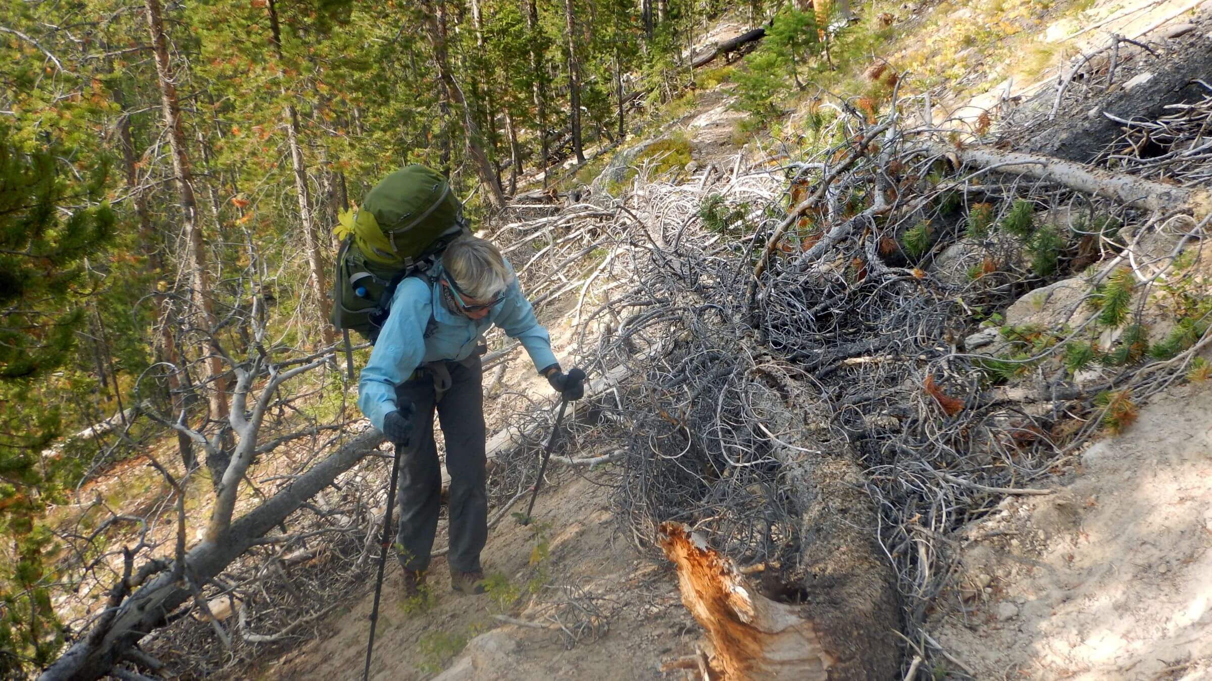 Sawtooth Wilderness, little used trail to Decker Lake, September