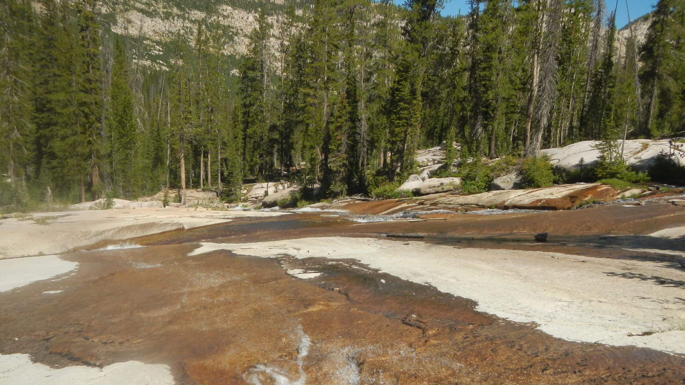 Sawtooth Wilderness, Benedict Creek tributary, July