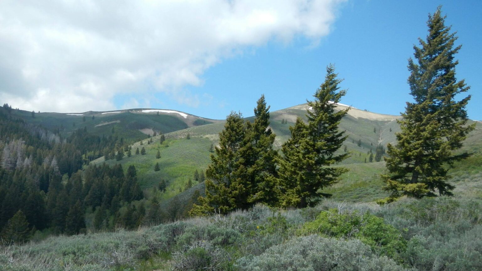 Smoky Mountains (Idaho), backpacking, Sawtooth National Forest, June