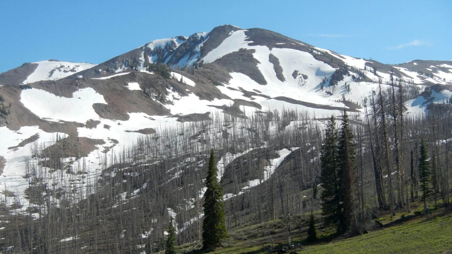 Smoky Mountains (Idaho), backpacking, Baker Peak above 2013 Beaver Creek Fire, June