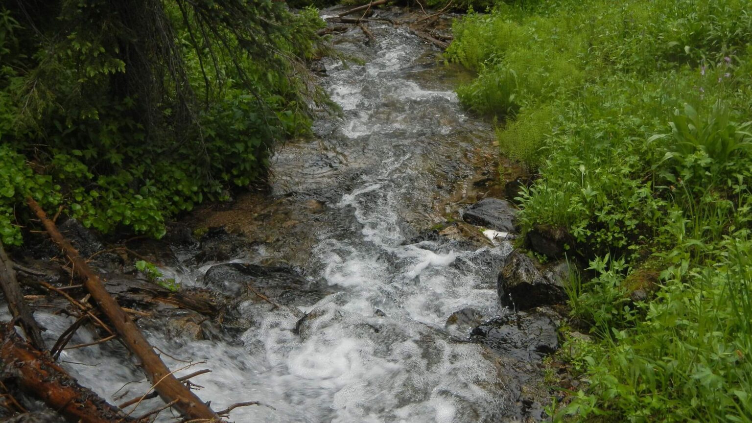 Smoky Mountains (Idaho), backpacking, Miner Creek, July