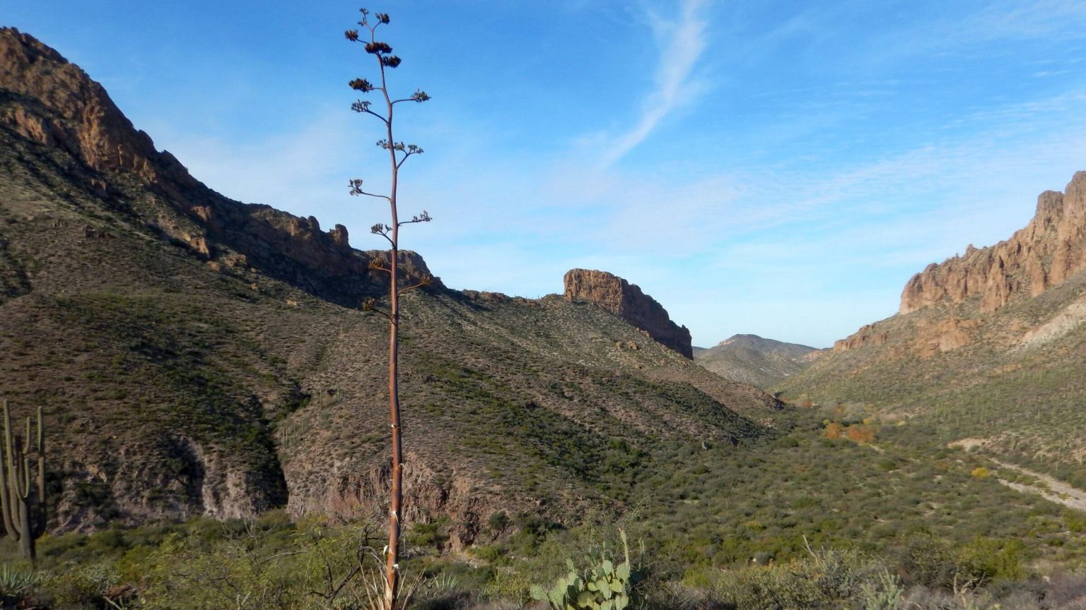 Superstition Wilderness, backpacking, La Barge Canyon, December