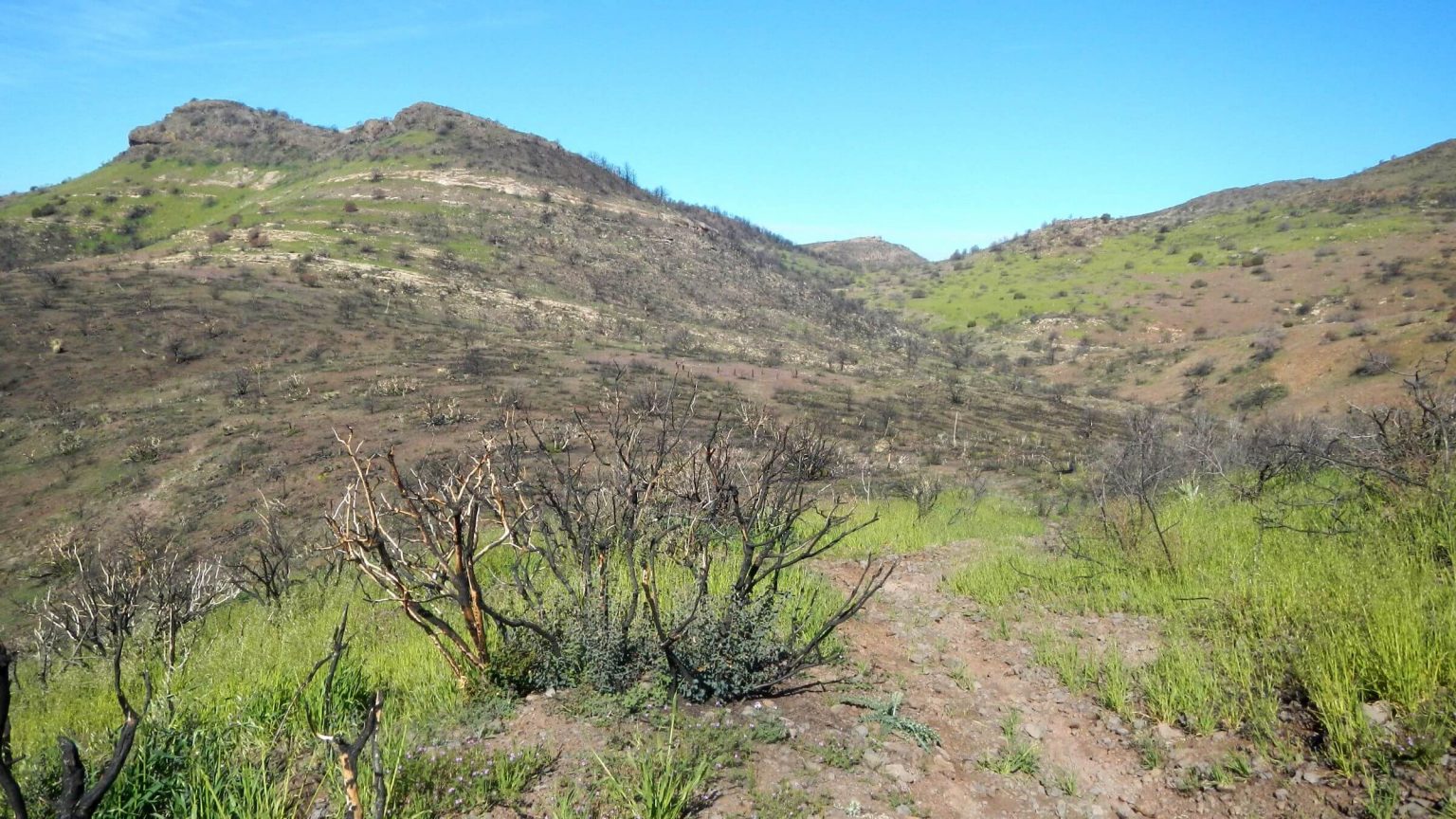 Superstition Wilderness, backpacking, Woodbury Fire recovery, March