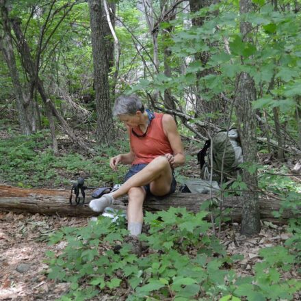 2014 VA Shenandoah: routine foot-stop