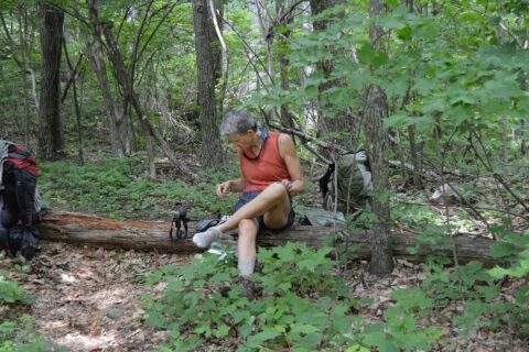 2014 VA Shenandoah: routine foot-stop