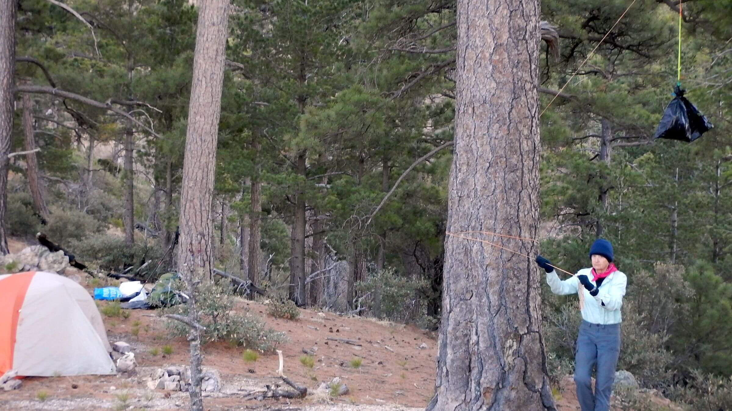 Mount Wrightson Wilderness, unburned area, January, January