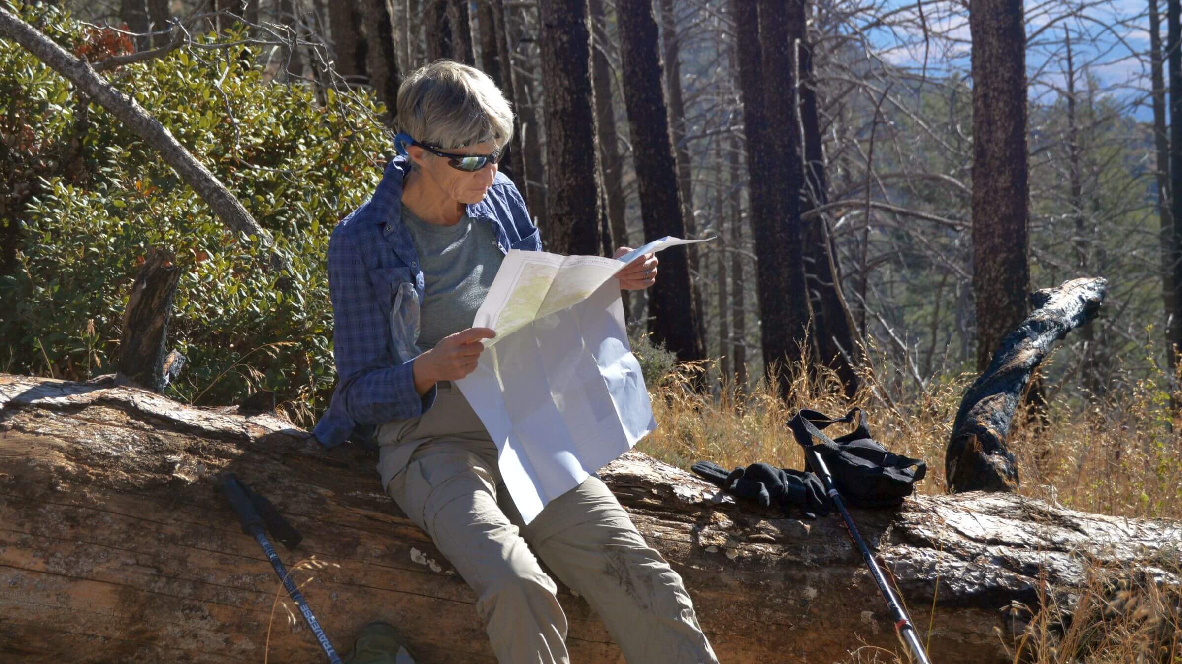 Mount Wrightson Wilderness, Crest Trail, November 2013