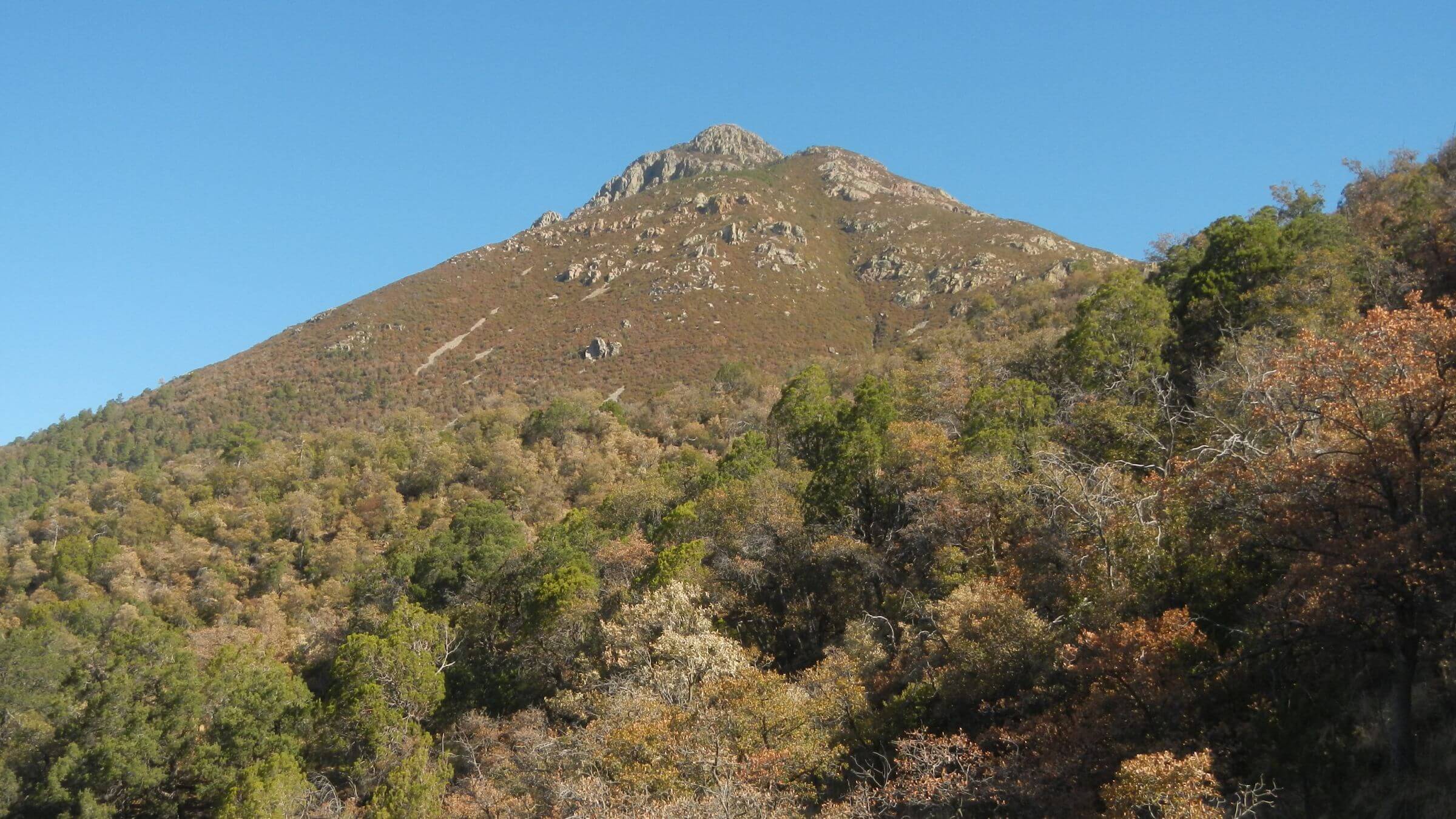 Mount Wrightson Wilderness, Josephine Peak, March 2025