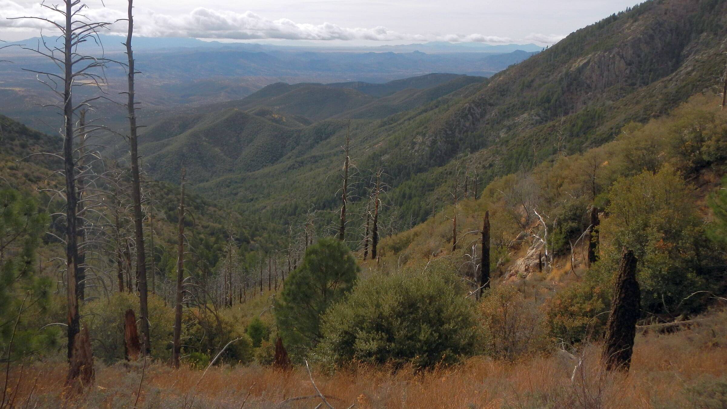 Mount Wrightson Wilderness, view south into Mexico, April 2025