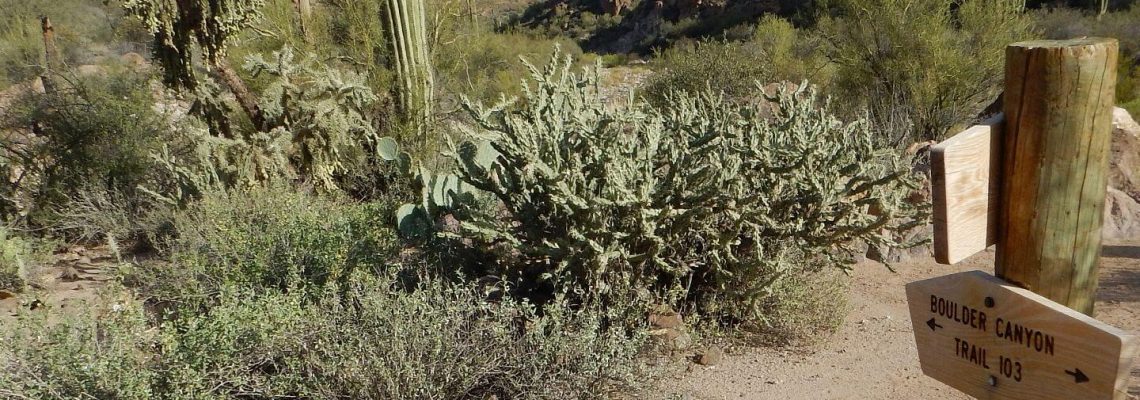 Superstition Wilderness, backpacking, new signs, December