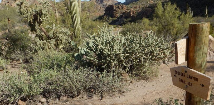 Superstition Wilderness, backpacking, new signs, December