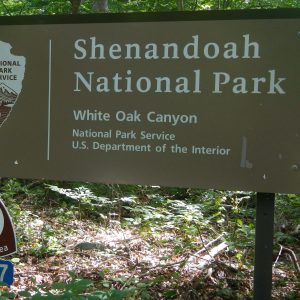 Shenandoah Wilderness, park sign, June2019
